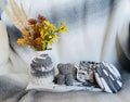 Cute Bundles Set
